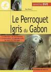 Le perroquet gris du Gabon