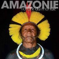 Amazonie, L'ordre du monde