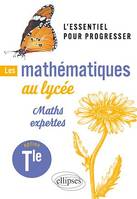 Les mathématiques au lycée - Option Maths expertes Terminale, L'essentiel pour progresser