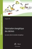 Valorisation énergétique des déchets, Leur place dans la transition énergétique