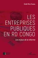 Les entreprises publiques en RD Congo, Les enjeux de la réforme