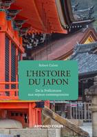 Histoire du Japon, De la Préhistoire aux enjeux contemporains