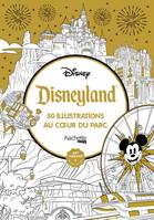 Disneyland, 50 illustrations au coeur du parc