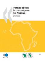 Perspectives économiques en Afrique 2009, Synthèse