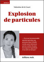 Explosion de particules, Un premier roman plein d'humour