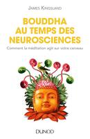 Bouddha au temps des neurosciences - Comment la méditation agit sur notre cerveau, Comment la méditation agit sur notre cerveau