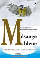 Mésange bleue, Cyanistes caeruleus-eurasian blue tit