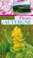 Fleurs d'Auvergne