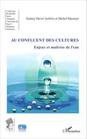 Au confluent des cultures, Enjeux et maîtrise de l'eau