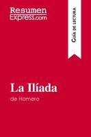 La Ilíada de Homero (Guía de lectura), Resumen y análisis completo