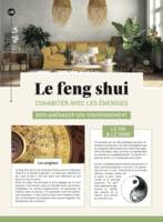 Le Feng Shui, Cohabiter avec les énergies, bien aménager son environnement