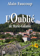 L'oublié de Marie-Galante, Roman