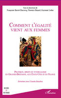 Comment l'égalité vient aux femmes, Politique, droit et syndicalisme en Grande-Bretagne, aux Etats-Unis et en France