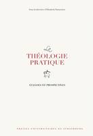 La théologie pratique, Analyses et prospectives