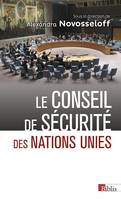 Le Conseil de sécurité des Nations Unies, Entre impuissance et toute puissance