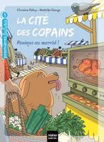 La cité des copains - Panique au marché GS/CP 5-6 ans