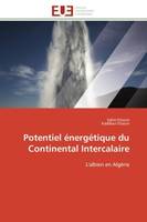 Potentiel énergétique du continental intercalaire