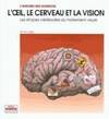 L'oeil, le cerveau, la vision., Les étapes cérébrales du traitement visuel
