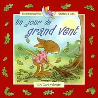 Les belles histoires d'Aubépin le lapin, JOUR DE GRAND VENT (UN) BELLES HISTOIRES D'AUBEPIN LE LAPIN, un livre velouté
