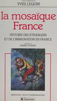 La mosaïque France : histoire des étrangers et de l'immigration, Histoire des étrangers et de l'immigration