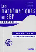 Les mathématiques en BEP industriel. Fichier d'exercices 1