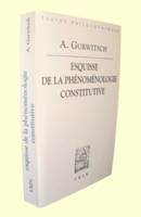 La phénoménologie constitutive, Une esquisse