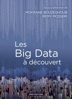 Les Big Data à découvert