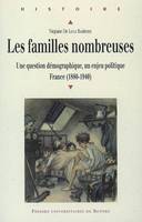 Les Familles nombreuses, Une question démographique, un enjeu politique France (1880-1940)