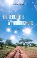 De Tendième à Tamianghone, Récit