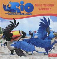 Rio - histoire reliee cartonnee