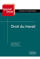 DROIT DU TRAVAIL