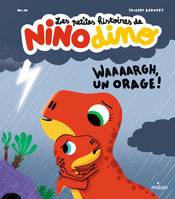 Les petites histoires de Nino Dino - Waaaargh, un orage !