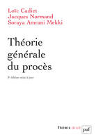 THEORIE GENERALE DU PROCES