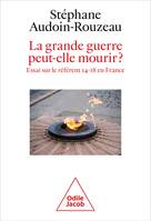 La Grande Guerre peut-elle mourir?, Essai sur le référent 14-18 en France