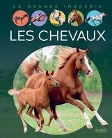 LES CHEVAUX