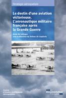 Le destin d'une aviation victorieuse, L'aéronautique militaire française après la Grande Guerre