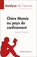 Chère Mamie au pays du confinement, Analyse de l'oeuvre