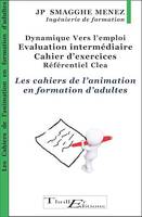 Dynamique Vers l'Emploi - Evaluation intermédiaire : Cahier d'exercices- Les cahiers de l'animation en formation d'adultes