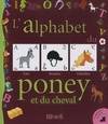 L'alphabet du poney et du cheval