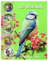 Les oiseaux