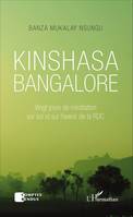 Kinshasa Bangalore, Vingt jours de méditation sur soi et sur l'avenir de la RDC