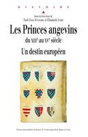 Les princes angevins du XIIIe au XVe siècle, Un destin européen