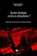 Quelle stratégie contre le djihadisme ?, Repenser la lutte contre la violence radicale