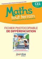 Maths tout terrain CE1 2020 Fichier photocopiable de différenciation