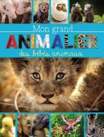 Mon grand animalier des bébés animaux