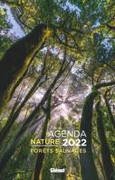 Agenda nature 2022 Forêts sauvages