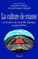 La Culture de masse en France de la Belle Époque à nos jours, de la Belle Époque à nos jours