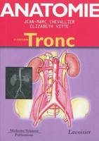 1, Le tronc, Anatomie, Le tronc