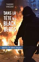 Dans le tête des black blocs. Vérités et idées reçues, Vérités et idées reçues