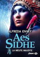 Aes Sidhe, T1 : La Meute maudite, Aes Sidhe, T1